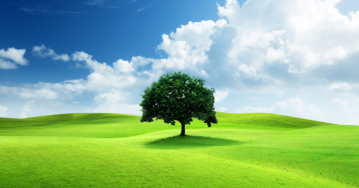 DEV JP Rakuten Item #30